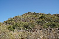 020_SS100536.jpg