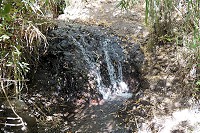 031_SS100549.jpg