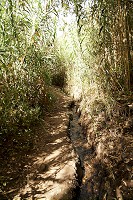 037_SS100554.jpg