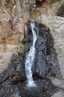 042_SS100559.jpg