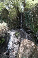049_SS100568.jpg