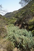 056_SS100575.jpg
