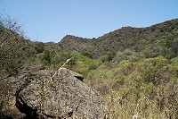 058_SS100577.jpg