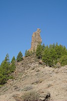 146_SS100689.jpg
