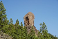 148_SS100690.jpg