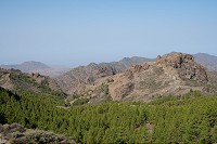 154_SS100699.jpg