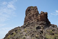 193_SS100789.jpg