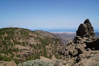 202_SS100807.jpg
