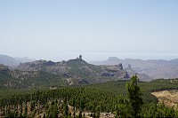 203_SS100808.jpg