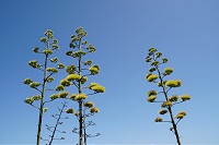 213_SS100828.jpg