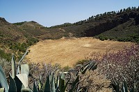 214_SS100829.jpg