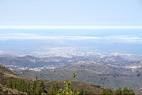 217_SS100835.jpg