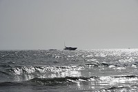 224_SS100854.jpg