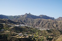 236_SS100892.jpg