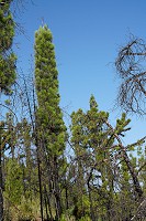 243_SS100906.jpg