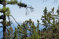 247_SS100914.jpg