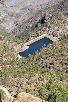 255_SS100930.jpg