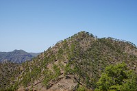 260_SS100939.jpg
