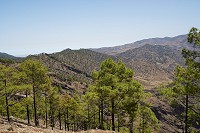 262_SS100962.jpg