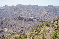 263_SS100964.jpg