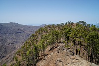 278_SS100985.jpg