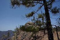 282_DSC00238.jpg