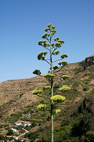 290_SS101006.jpg