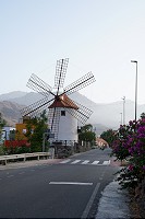 341_SS101010.jpg