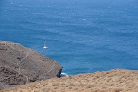 393_SS101098.jpg