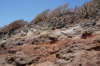 398_SS101102.jpg