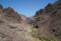 439_SS101186.jpg