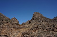 451_DSC00403.jpg