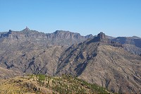 457_SS101209.jpg