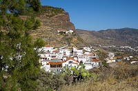460_SS101215.jpg