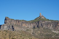 470_SS101234.jpg