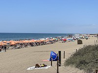 499_IMG_3755.jpg