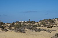 552_SS101299.jpg