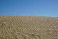 558_SS101305.jpg