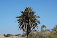 566_SS101320.jpg