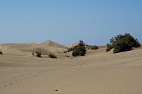 568_SS101322.jpg