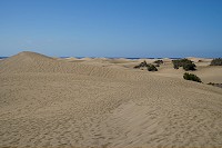 570_SS101325.jpg