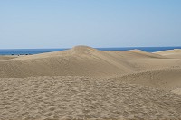 573_SS101329.jpg