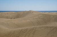 579_SS101337.jpg