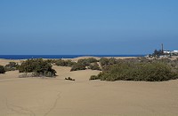 585_SS101349.jpg