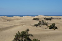 587_SS101352.jpg