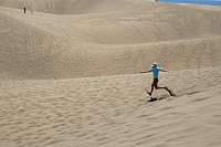 597_SS101364.jpg