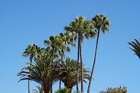 599_SS101374.jpg