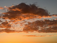 625_IMG_3862.jpg