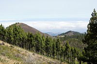 654_SS101427.jpg