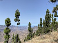 660_IMG_3474.jpg